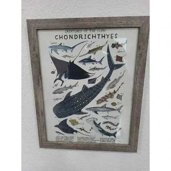 Shark boys room art 12‎ x 15 - Picture 2 of 3